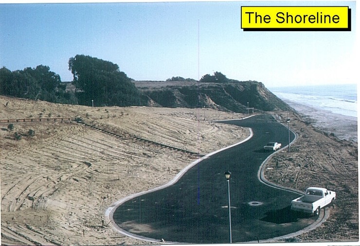 TheShoreline